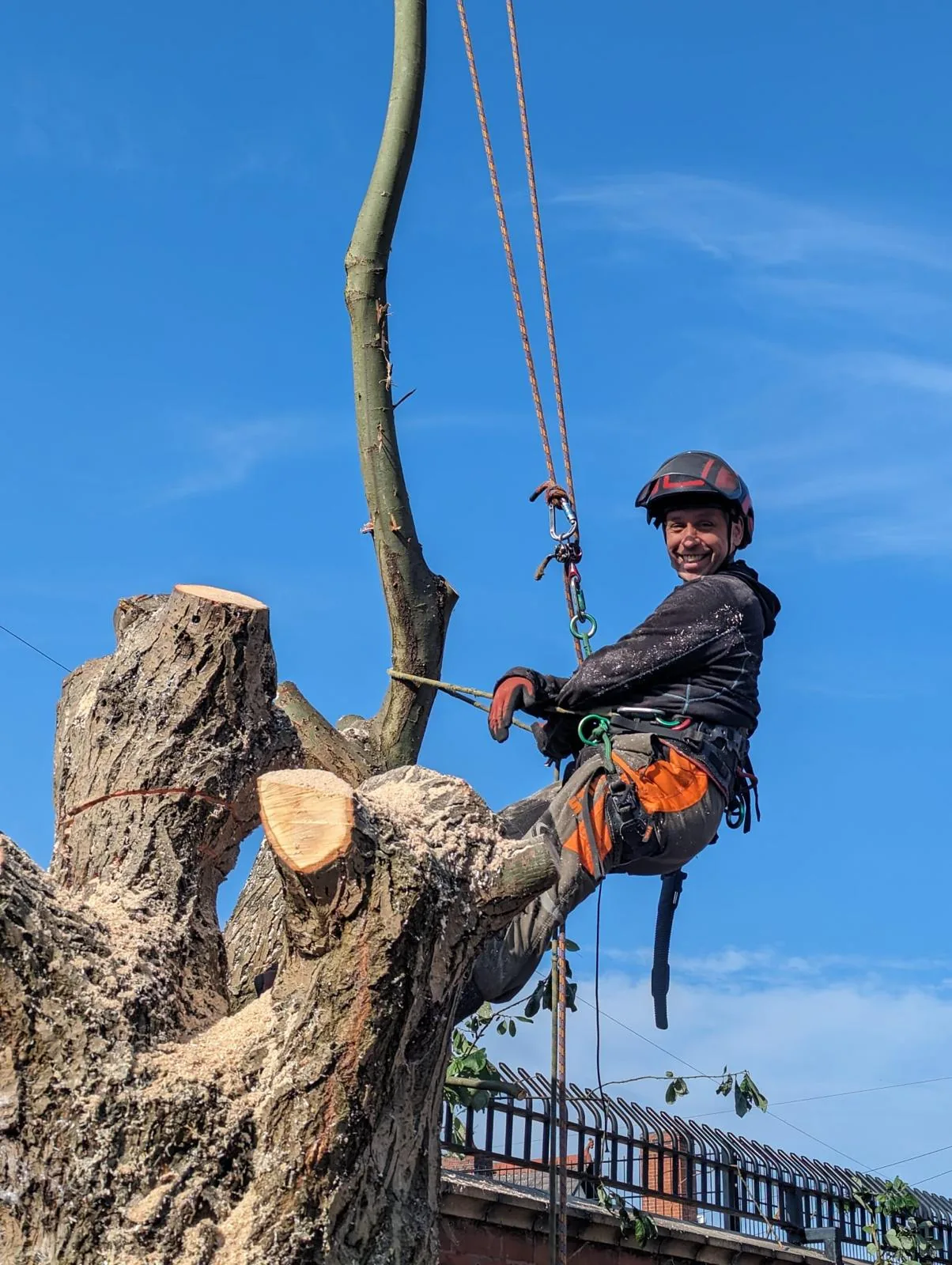 Richard Anderson of Buxton Tree Care roped up during a tree job